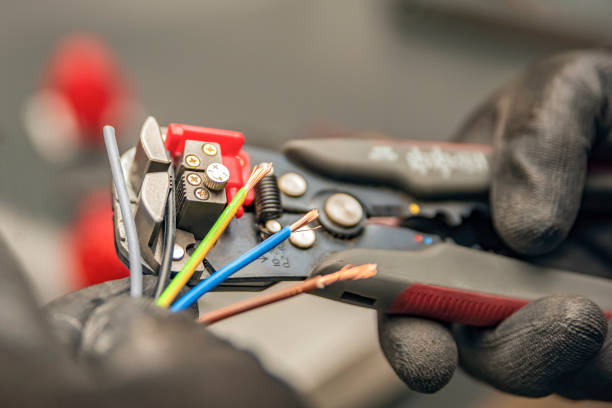 Best Electric Panel Repair  in Fort Atkinson, WI